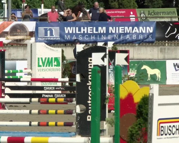 Reitturnier Melle-Ostenfelde 2021