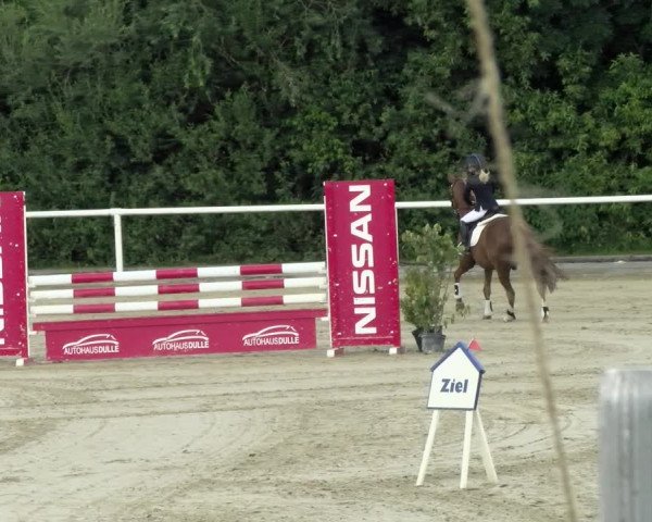 Reitturnier Haren/Lüssing 2021