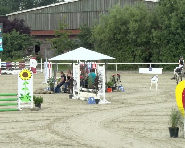 Reitturnier Haren/Lüssing 2021