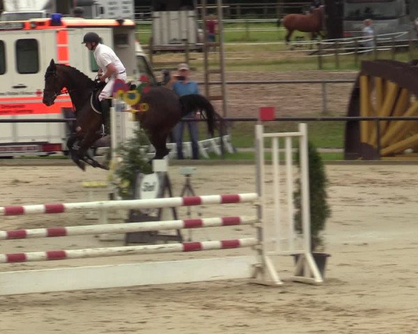 Reitturnier Hamm-Rhynern 2021