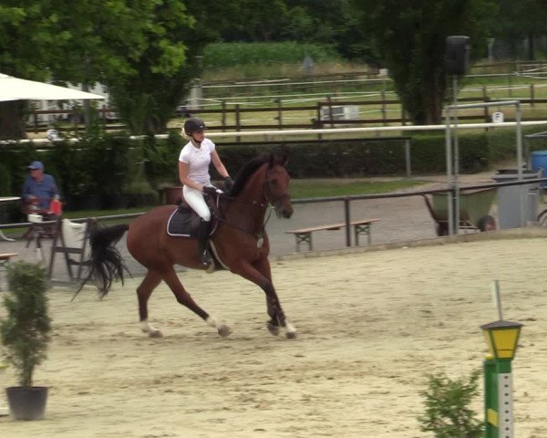 Reitturnier Hamm-Rhynern 2021