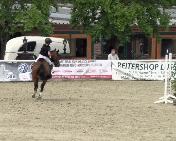Reitturnier Haren/Lüssing 2021