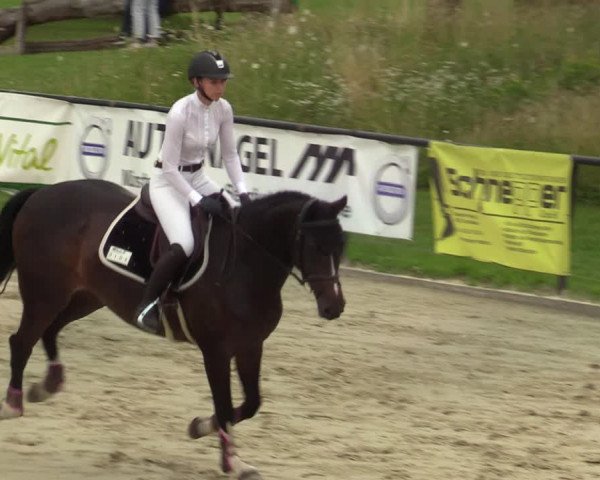 Reitturnier Hamm-Rhynern 2021