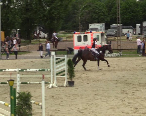 Reitturnier Hamm-Rhynern 2021