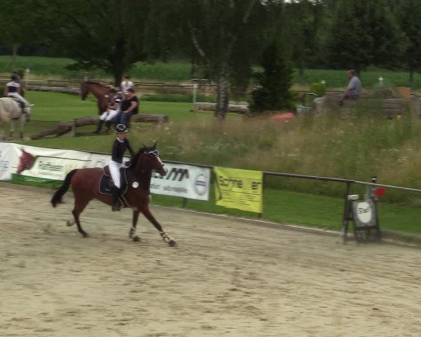 Reitturnier Hamm-Rhynern 2021