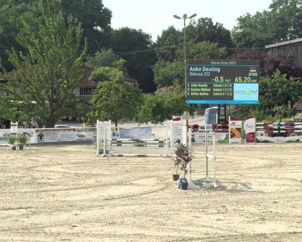 Reitturnier Haren/Lüssing 2021
