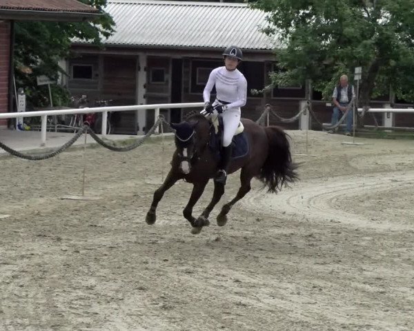 Reitturnier Haren/Lüssing 2021