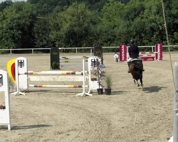 Reitturnier Haren/Lüssing 2021