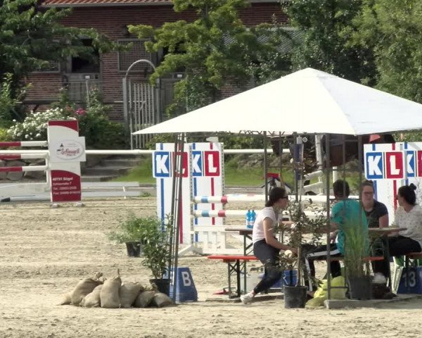Reitturnier Haren/Lüssing 2021