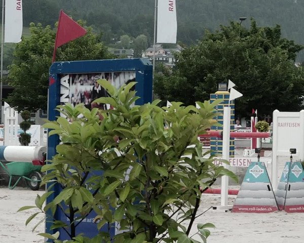 Reitturnier Balsthal 2021