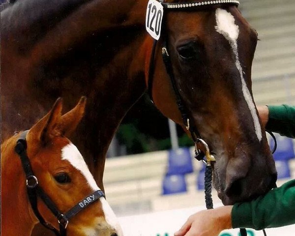 broodmare Rilka (Rhinelander, 1999, from Rilke)