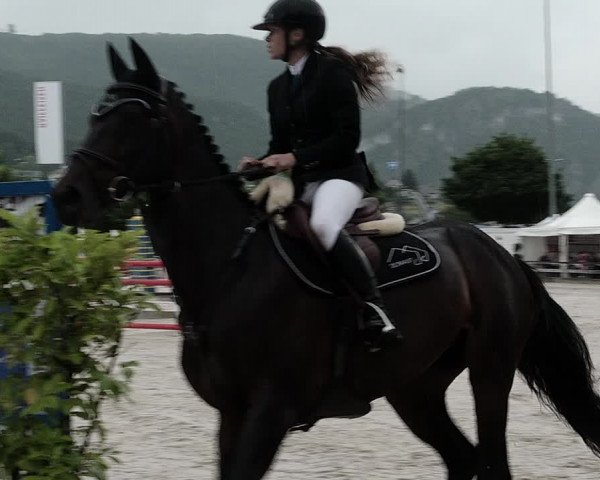 Reitturnier Balsthal 2021