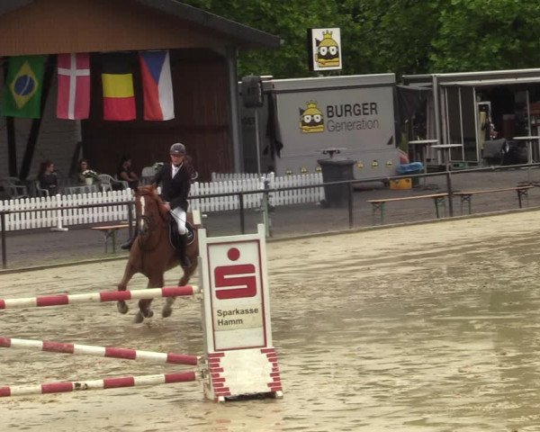 Reitturnier Hamm-Rhynern 2021