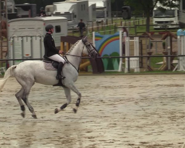 Reitturnier Hamm-Rhynern 2021