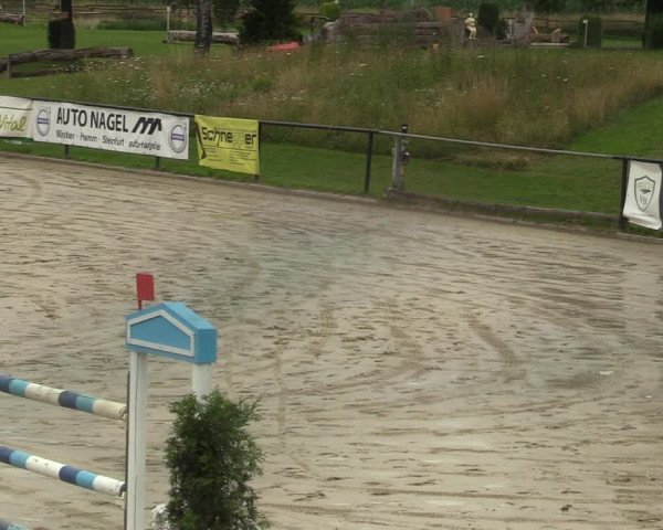 Reitturnier Hamm-Rhynern 2021