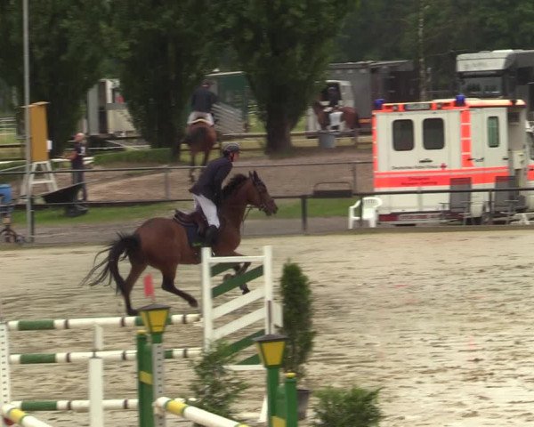 Reitturnier Hamm-Rhynern 2021