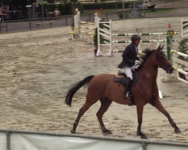 Reitturnier Hamm-Rhynern 2021