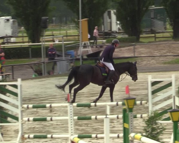 Reitturnier Hamm-Rhynern 2021