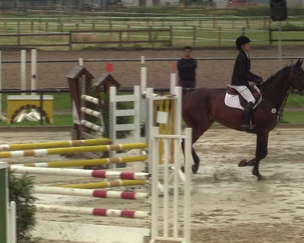 Reitturnier Hamm-Rhynern 2021