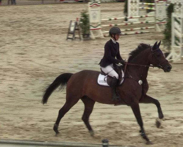 Reitturnier Hamm-Rhynern 2021