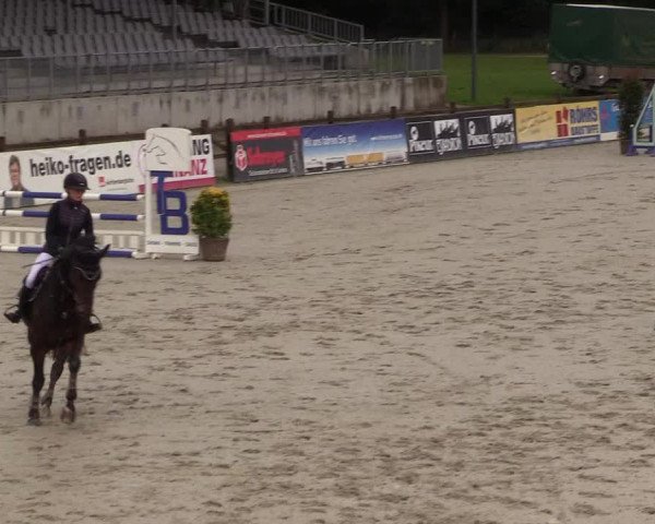 Reitturnier Westergellersen 2021