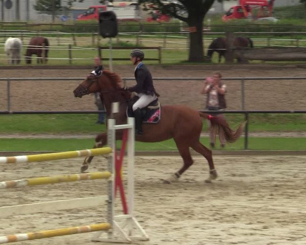 Reitturnier Hamm-Rhynern 2021