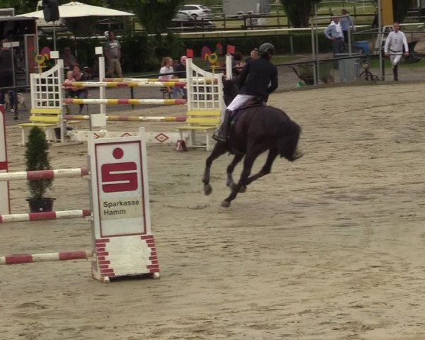 Reitturnier Hamm-Rhynern 2021