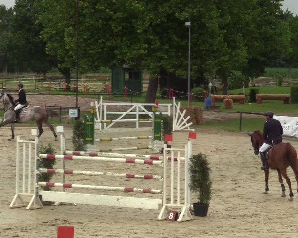Reitturnier Hamm-Rhynern 2021