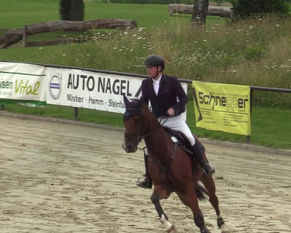Reitturnier Hamm-Rhynern 2021