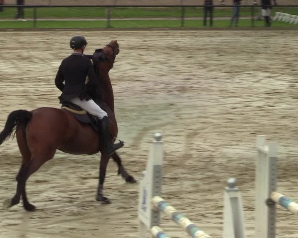 Reitturnier Hamm-Rhynern 2021