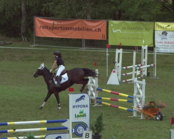 Reitturnier Eiken 2021