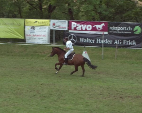 Reitturnier Eiken 2021