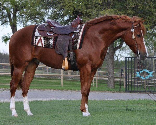 horse Dualin Leitachic (Quarter Horse, 2011, from Leitachic)