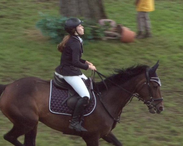 Reitturnier Eiken 2021