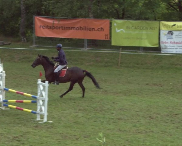 Reitturnier Eiken 2021