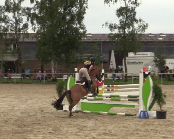 Reitturnier Herbern 2021