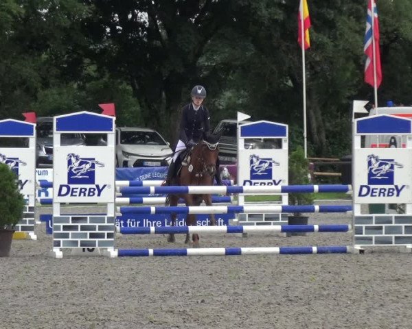 Giebelwald Classics mit Westfälische Meisterschaften Dressur und Springen 2021