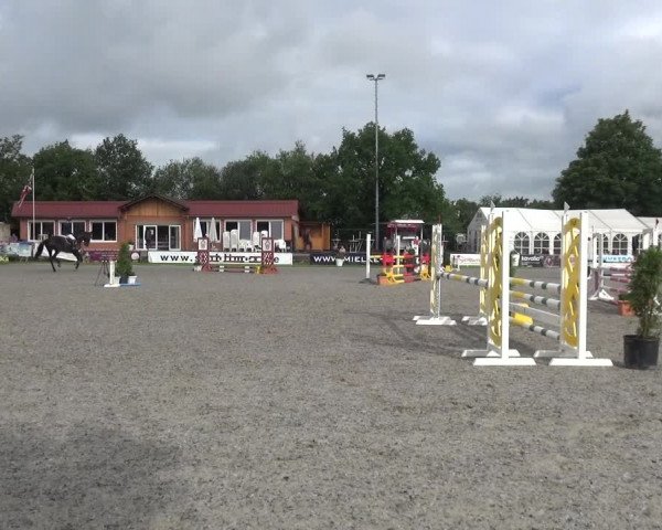 Giebelwald Classics mit Westfälische Meisterschaften Dressur und Springen 2021