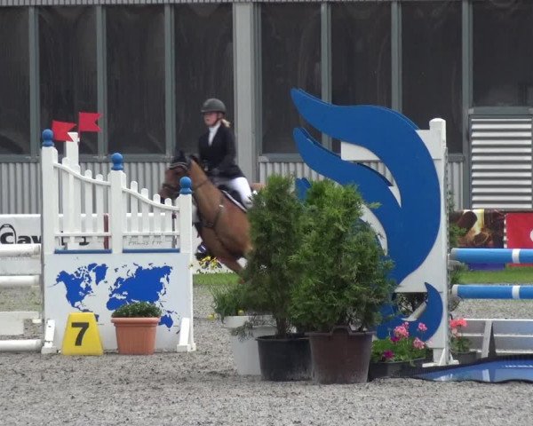 Giebelwald Classics mit Westfälische Meisterschaften Dressur und Springen 2021