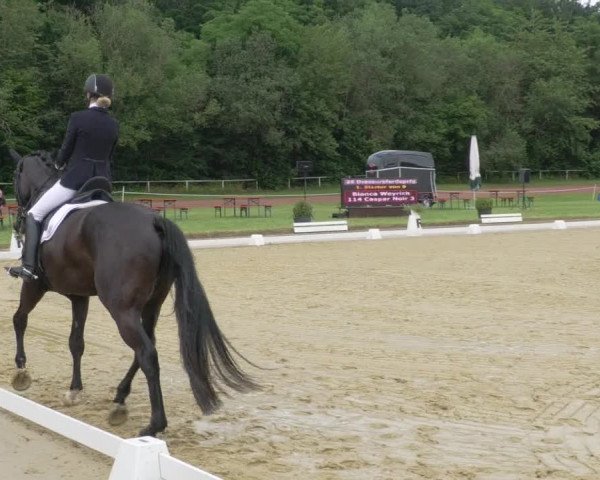Reitturnier Heiligenwald 2021