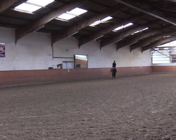 Reitturnier Münster-St. Georg 2021