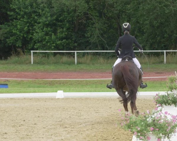 Reitturnier Heiligenwald 2021