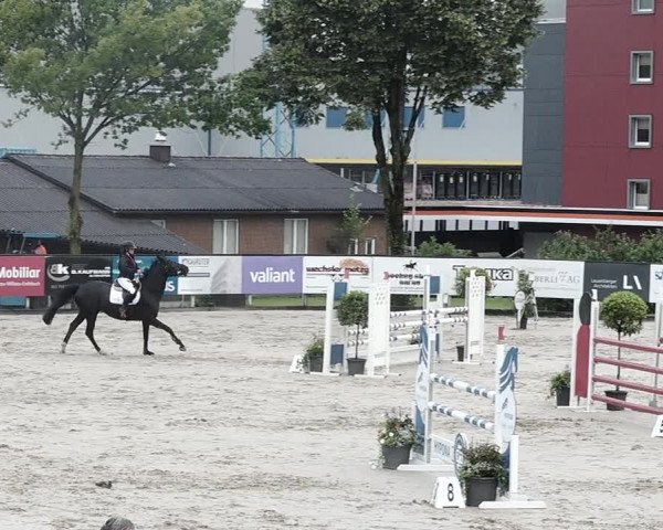Reitturnier Dagmersellen 2021