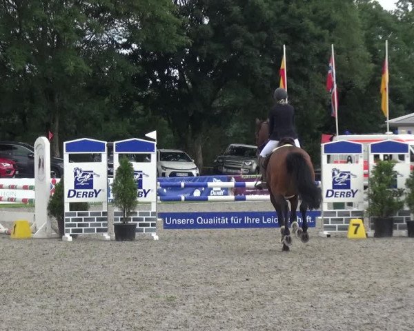 Giebelwald Classics mit Westfälische Meisterschaften Dressur und Springen 2021