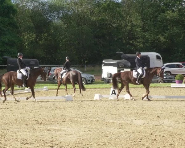 Reitturnier Heiligenwald 2021