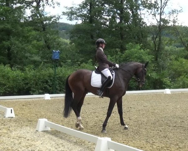 Giebelwald Classics mit Westfälische Meisterschaften Dressur und Springen 2021
