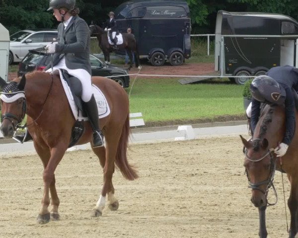 Reitturnier Heiligenwald 2021