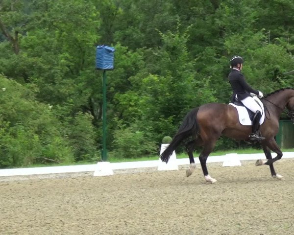 Giebelwald Classics mit Westfälische Meisterschaften Dressur und Springen 2021
