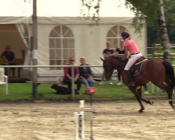 Reitturnier Herbern 2021