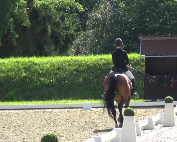 Giebelwald Classics mit Westfälische Meisterschaften Dressur und Springen 2021
